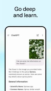 ChatGPT v1.2025.245 MOD APK (Plus, Premium Unlocked) 4